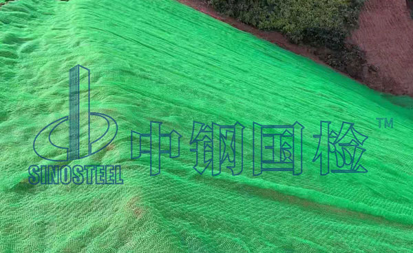三维植被网检测