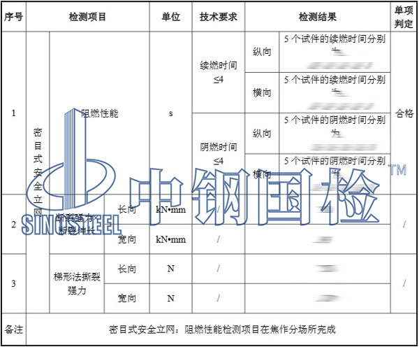 安全网检测项目结果