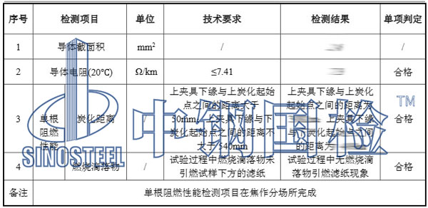 电线检测项目结果