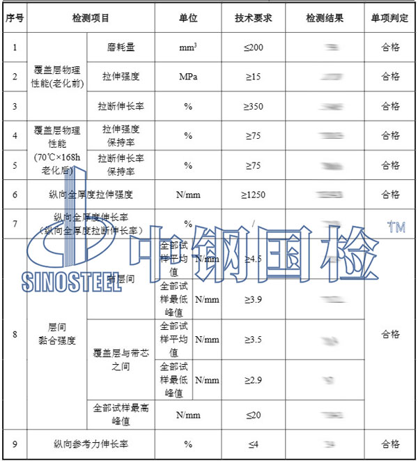 传送带检测项目结果