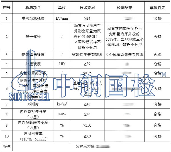 压力管检测项目结果