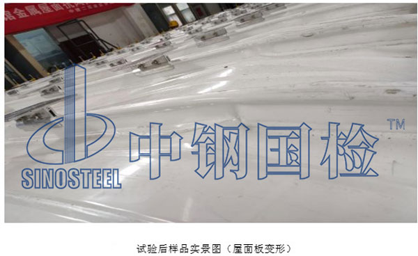 试验后样品实景图