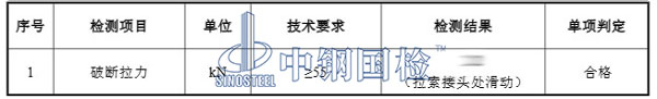 拉索检测项目结果