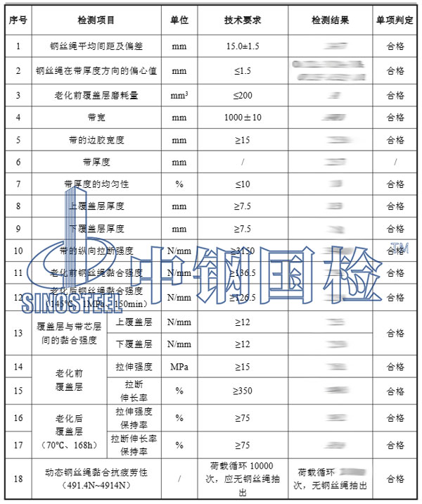 钢丝绳芯输送带检测项目结果