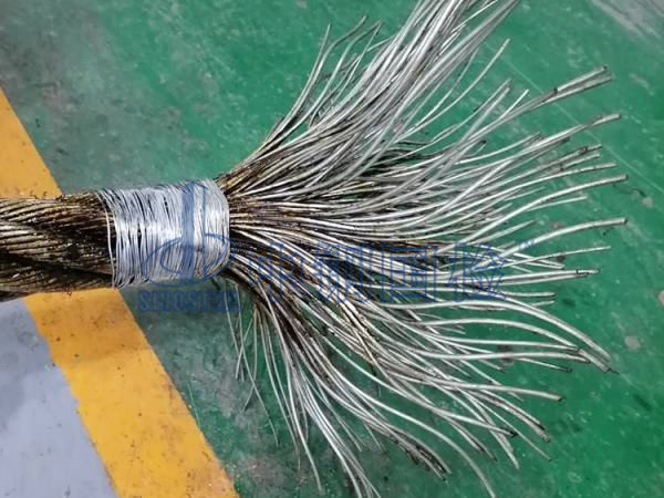 钢丝绳检测样品