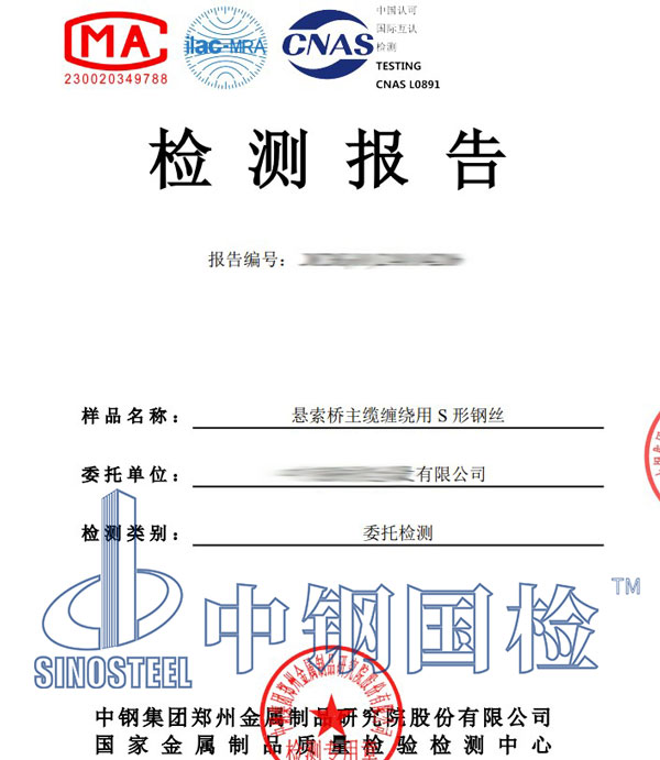悬索桥检测报告