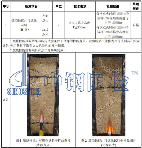 纺织品防火检测项目结果