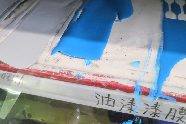 表面漆检测