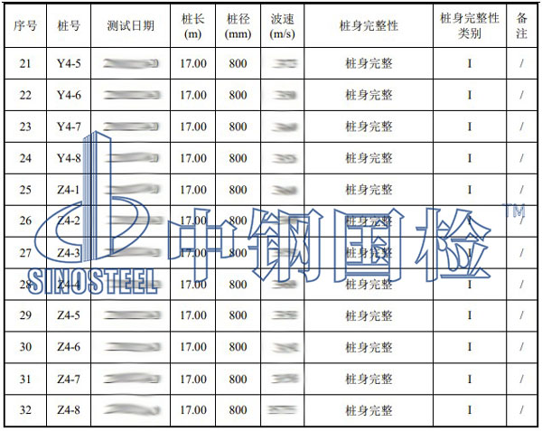 桥梁桩基检测项目结果