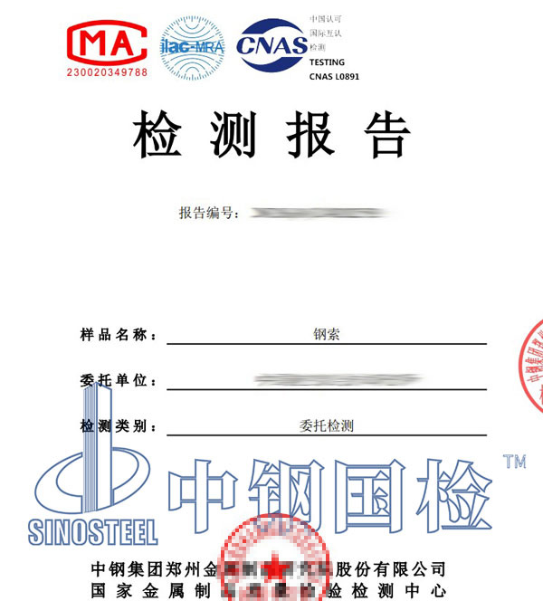 钢索检测报告