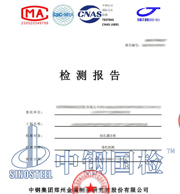 钻孔灌注桩检测报告