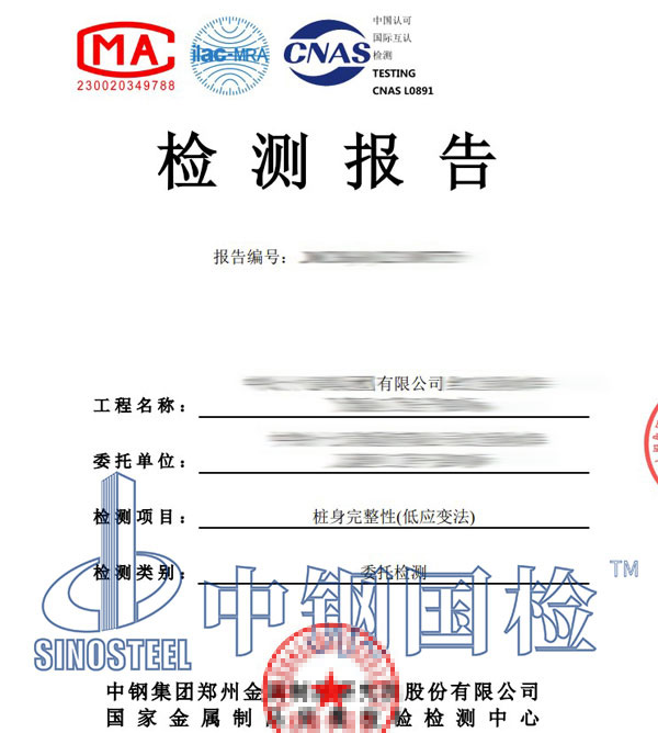 桥梁桩基检测报告