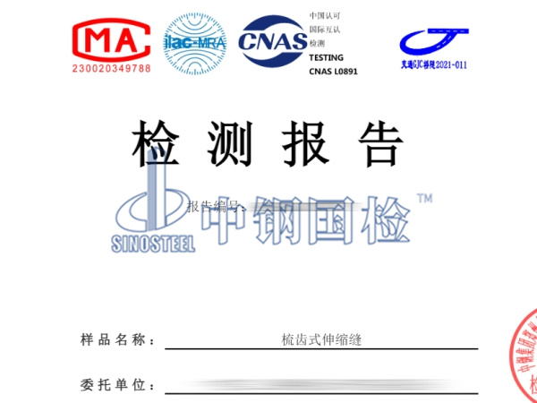 梳齿式伸缩缝检测报告