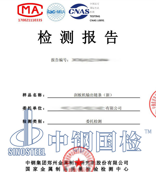 链条检测报告