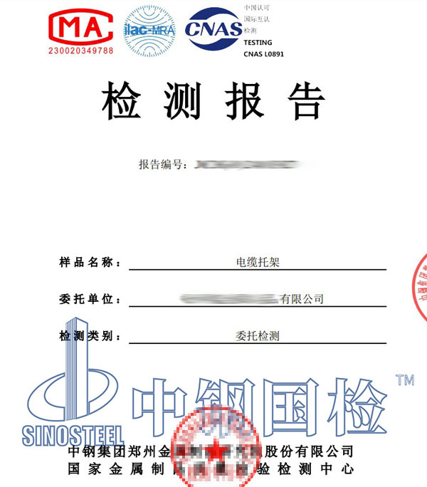 中性盐雾试验报告