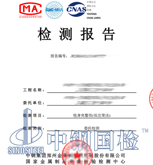 桩基检测报告