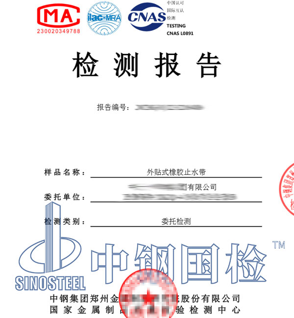 橡胶检测报告图片