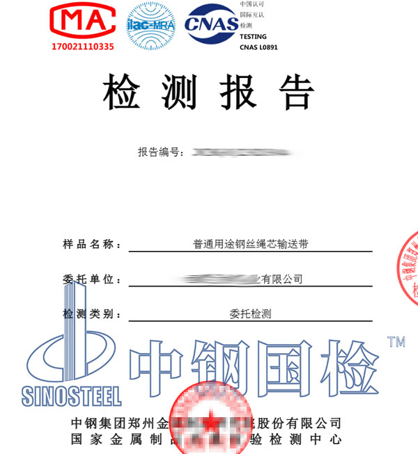 钢丝绳芯输送带检测报告