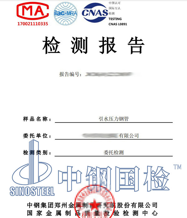 压力钢管检测报告