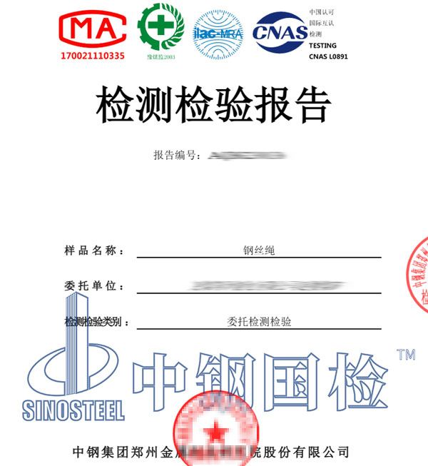 钢丝绳检测报告