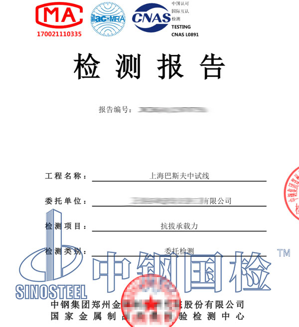 化学锚栓检测报告图片