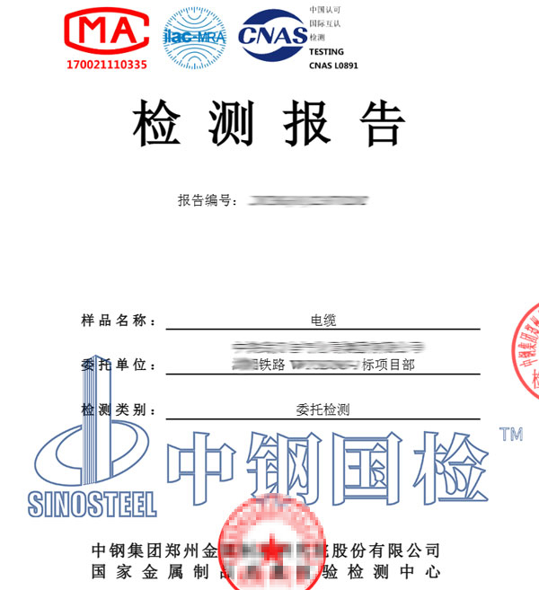 阻燃测试报告图片