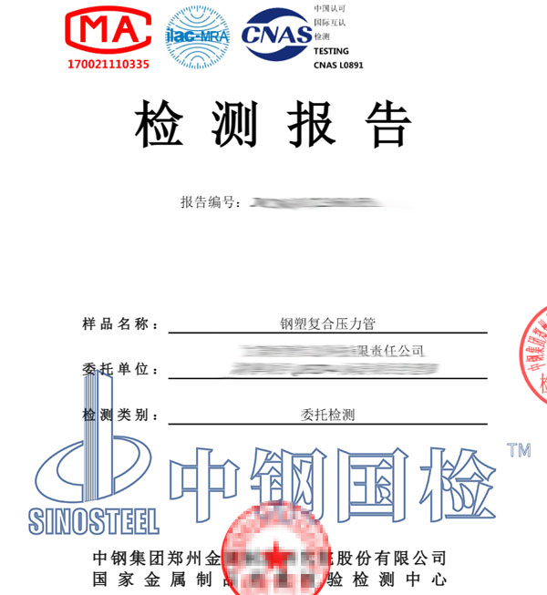 压力管检测报告