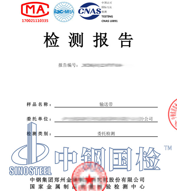 皮带检测报告