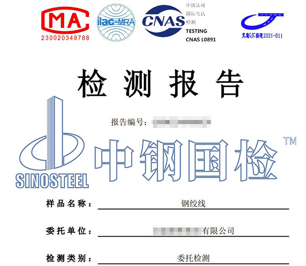 钢绞线耐化学腐蚀性检测报告