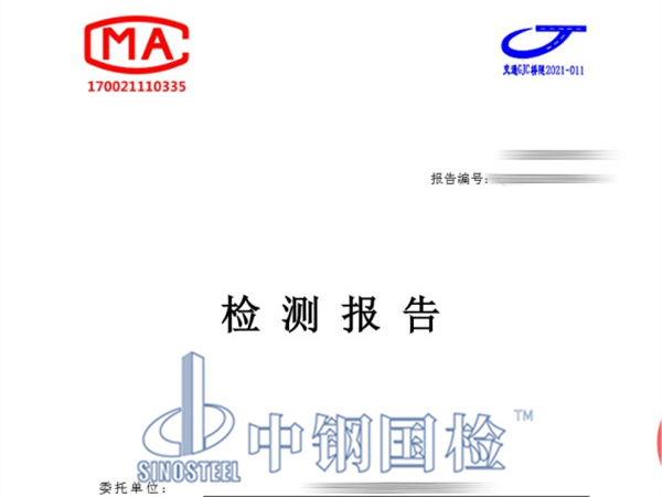 贝雷桥检测报告