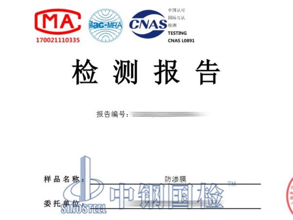 防渗膜检验报告图