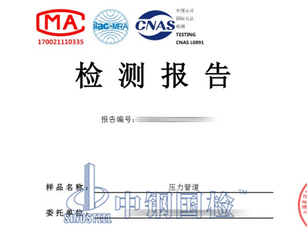 压力管道检测报告