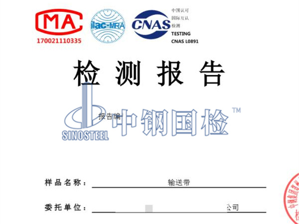 输送带检测报告图
