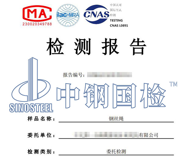 钢丝绳检测报告