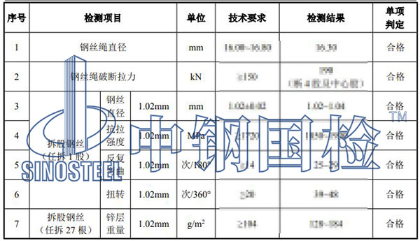 钢丝绳检测结果
