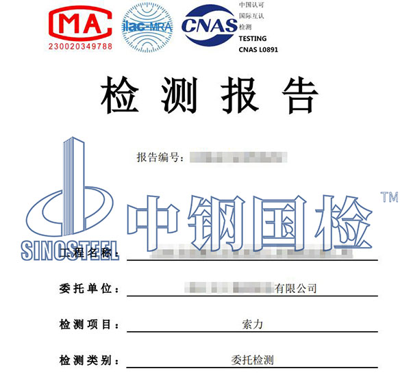 老旧桥梁吊索检测报告