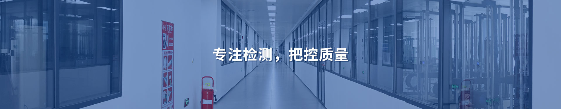 好运来